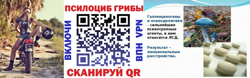 OMG зеркало  Яхрома  Галлюциногенные грибы прущие грибы 