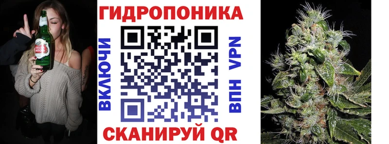 Бошки Шишки OG Kush Яхрома